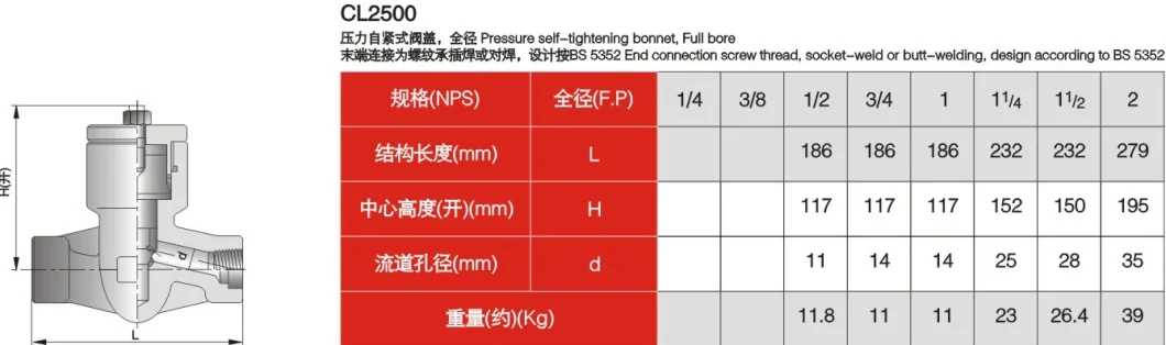 Pressure Seal Bonnet Forged Check Valve