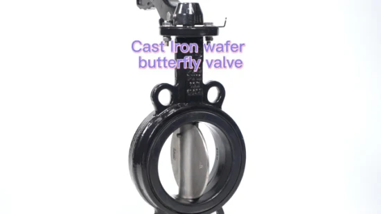 Quality Pn10 Lever Cast Iron Ductile Wafer Type Butterfly Valve Price EPDM Viton Seat Soft Seal