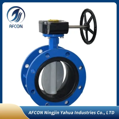 Double Flange Triple Offset Butterfly Valve with Gear Operation