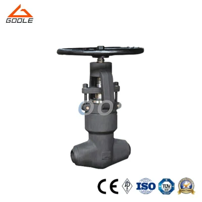 Socket Welded Pressure Seal Compact Steel Globe Valve (GAJ61Y)